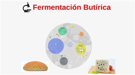 fermentacion butirica